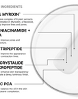 SkinCeuticals P-TIOX Anti-Wrinkle Cream key ingredients: 10% Myrixin, 5% niacinamide and LHA, 2% tripeptide, 1% Crystalide micropeptide, zinc PCA